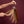 Aria Colour Swatch
